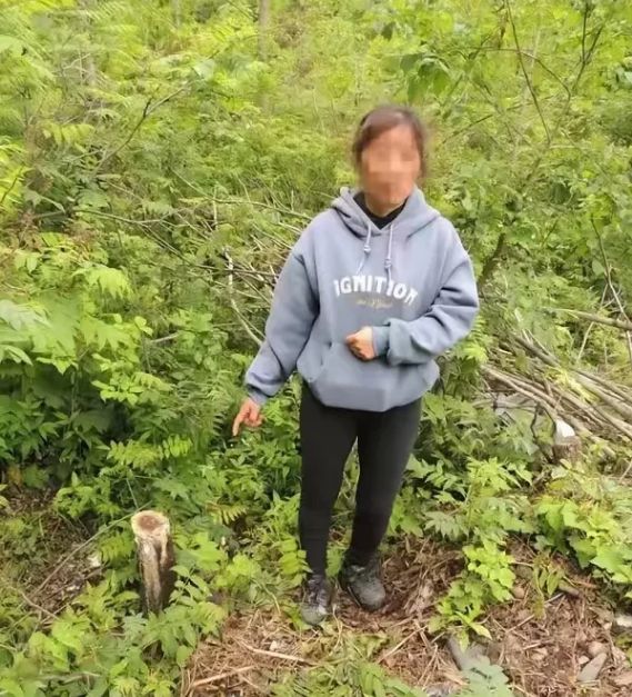 根4米晾衣杆“悲剧了”系二级保护植物AG旗舰赞助马竞联赛吉林一女子砍伐一(图1)