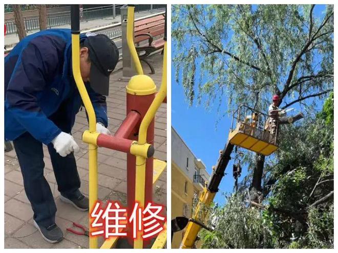口的“爆改”打造多彩龙腾苑六区社区k8凯发一触即发“六色助力”！家门(图15)